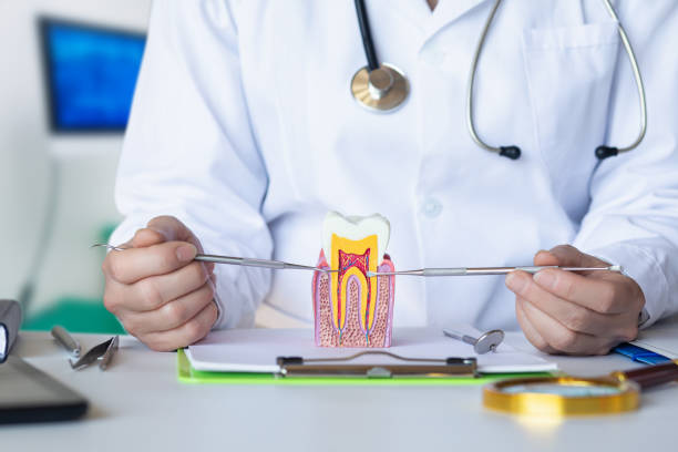 Best Emergency Tooth Extraction in Wakefield, MI